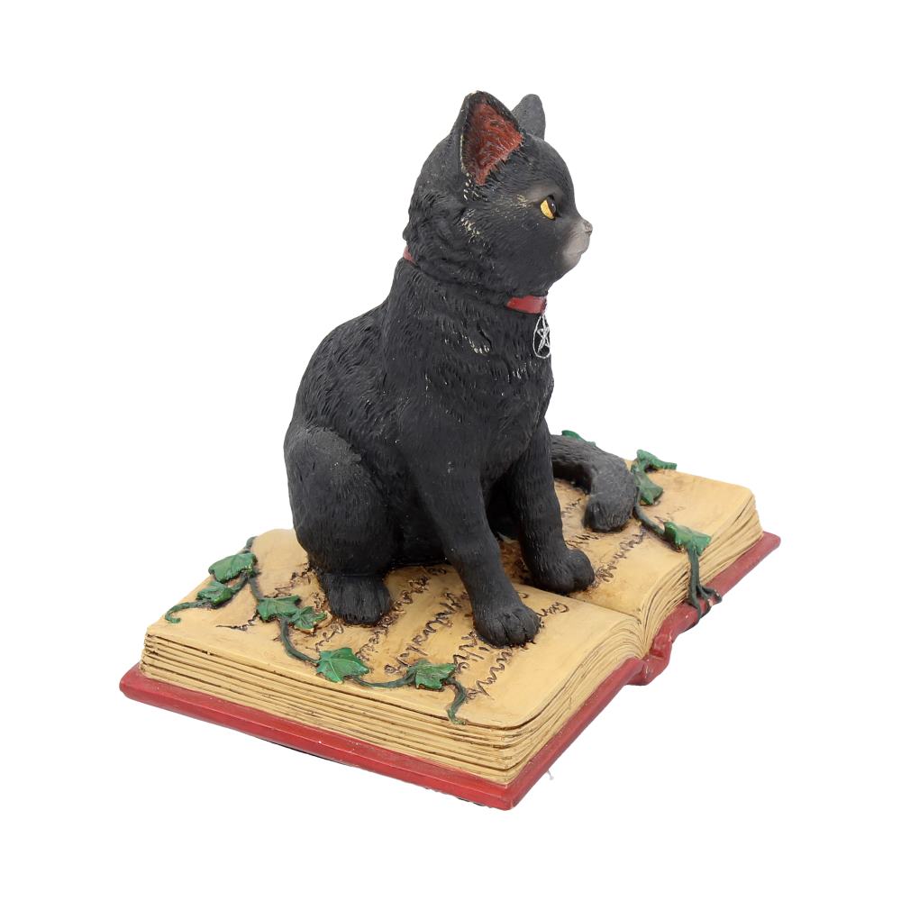 Eclipse (NN) 12cm