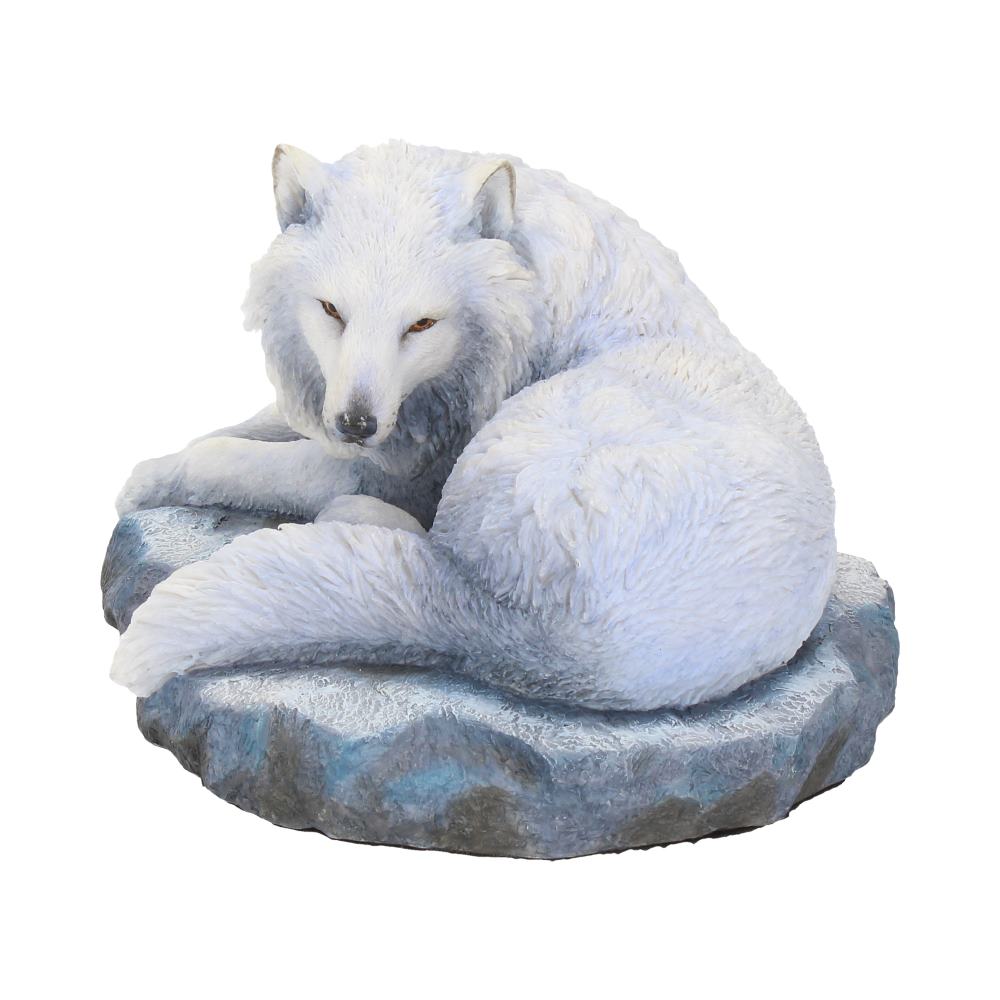 Guardian Of The North (LP) 19.5cm