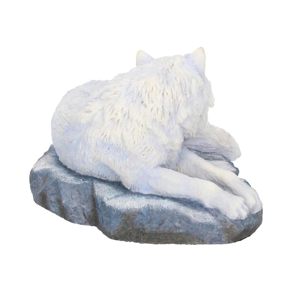 Guardian Of The North (LP) 19.5cm