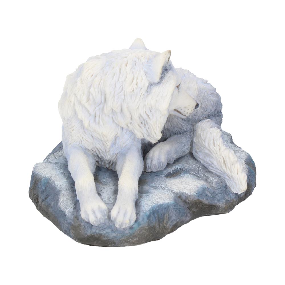 Guardian Of The North (LP) 19.5cm