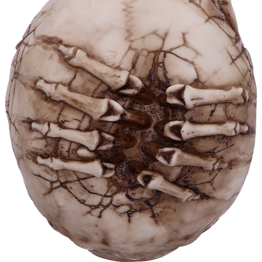 Breaking Out Skull (JR) 20cm