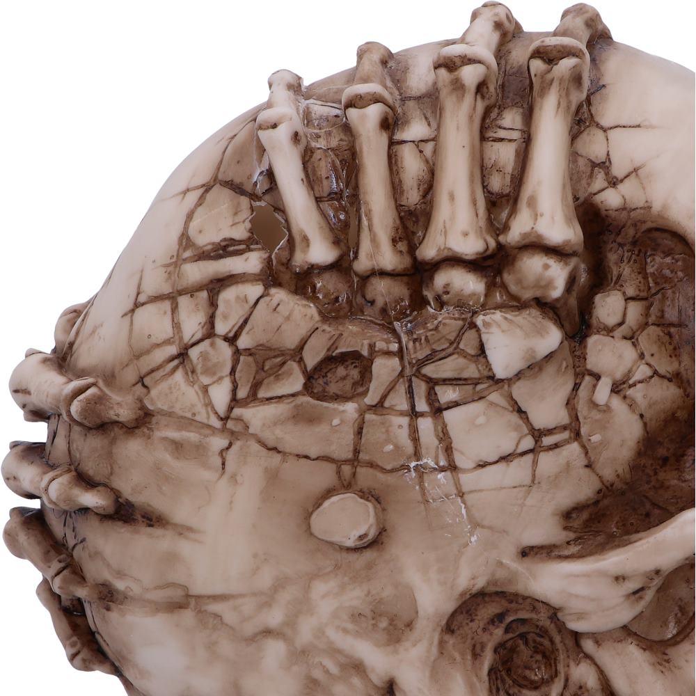 Breaking Out Skull (JR) 20cm