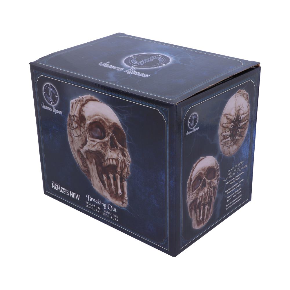 Breaking Out Skull (JR) 20cm