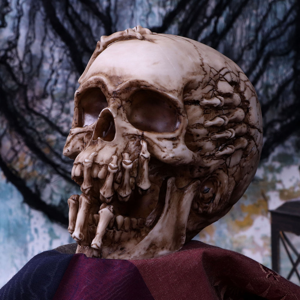 Breaking Out Skull (JR) 20cm