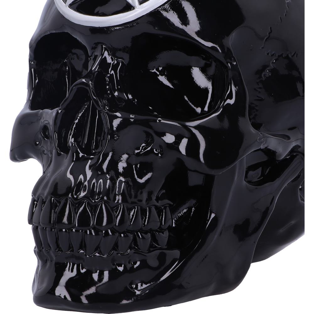 Black Magic 19.5cm