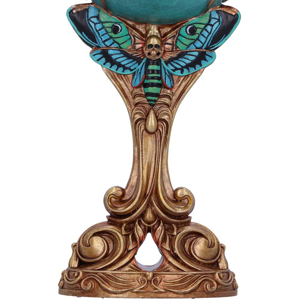 The Teller Palmistry Goblet 19.5cm