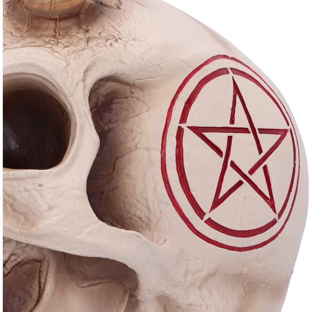 666 Skull (JR) 20cm