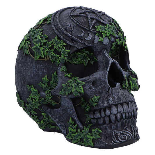 Aged Pentagram Skull 18.8cm