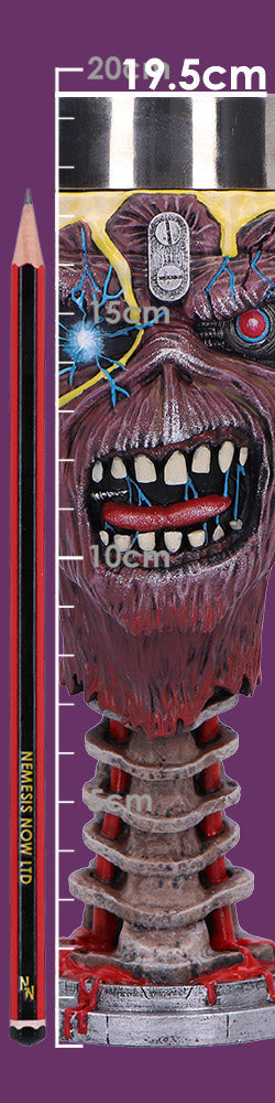 Iron Maiden Can I Play With Madness Goblet 19.5cm
