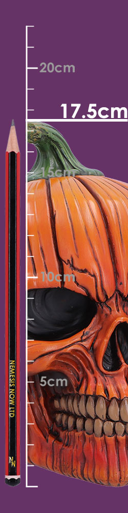 Nemesis Now Pumpkin Skull figurine, 17.5cm Halloween decor, detailed orange and black skull with pumpkin accents.