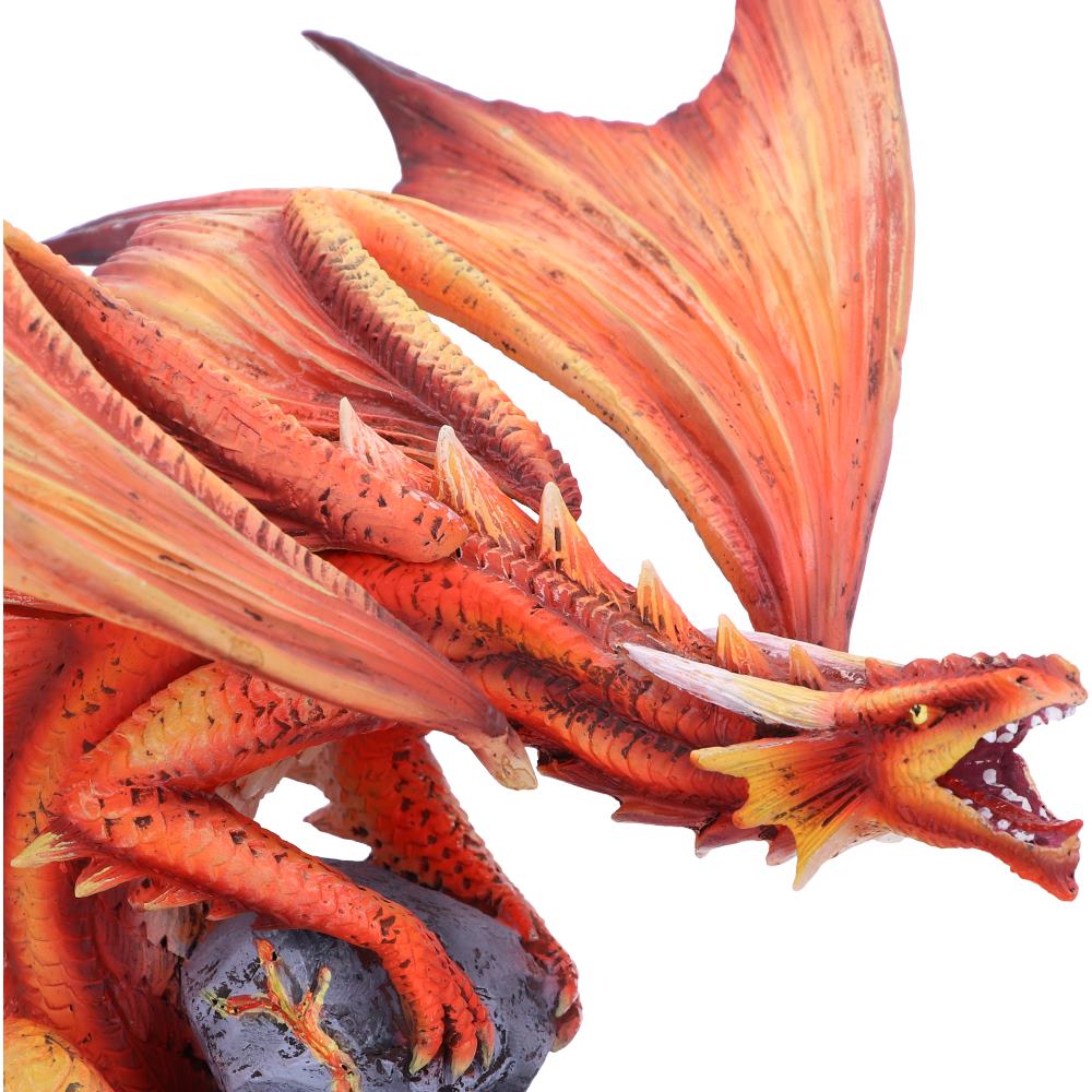 Adult Fire Dragon (AS) 24.5cm