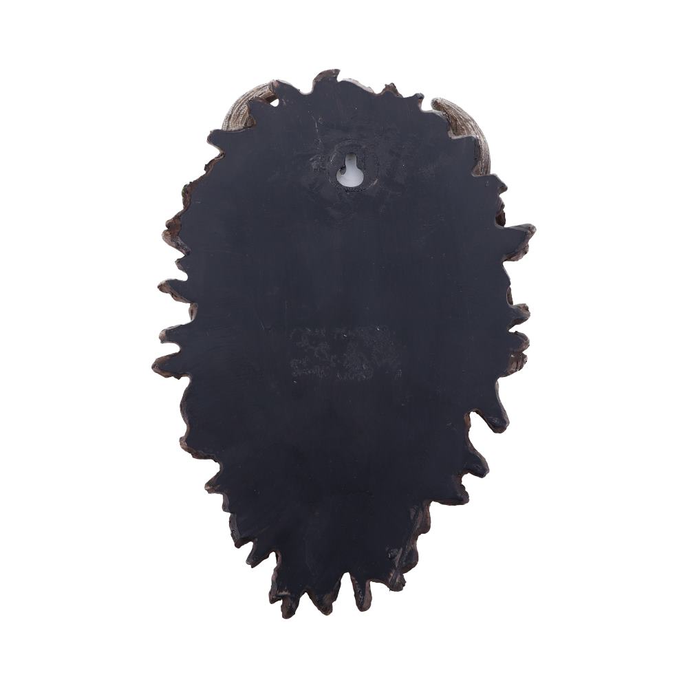 Alder Wall Mounted Tree Spirit 20.2cm