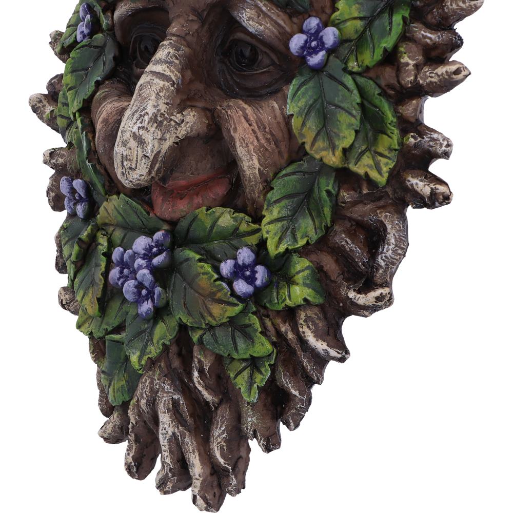 Alder Wall Mounted Tree Spirit 20.2cm