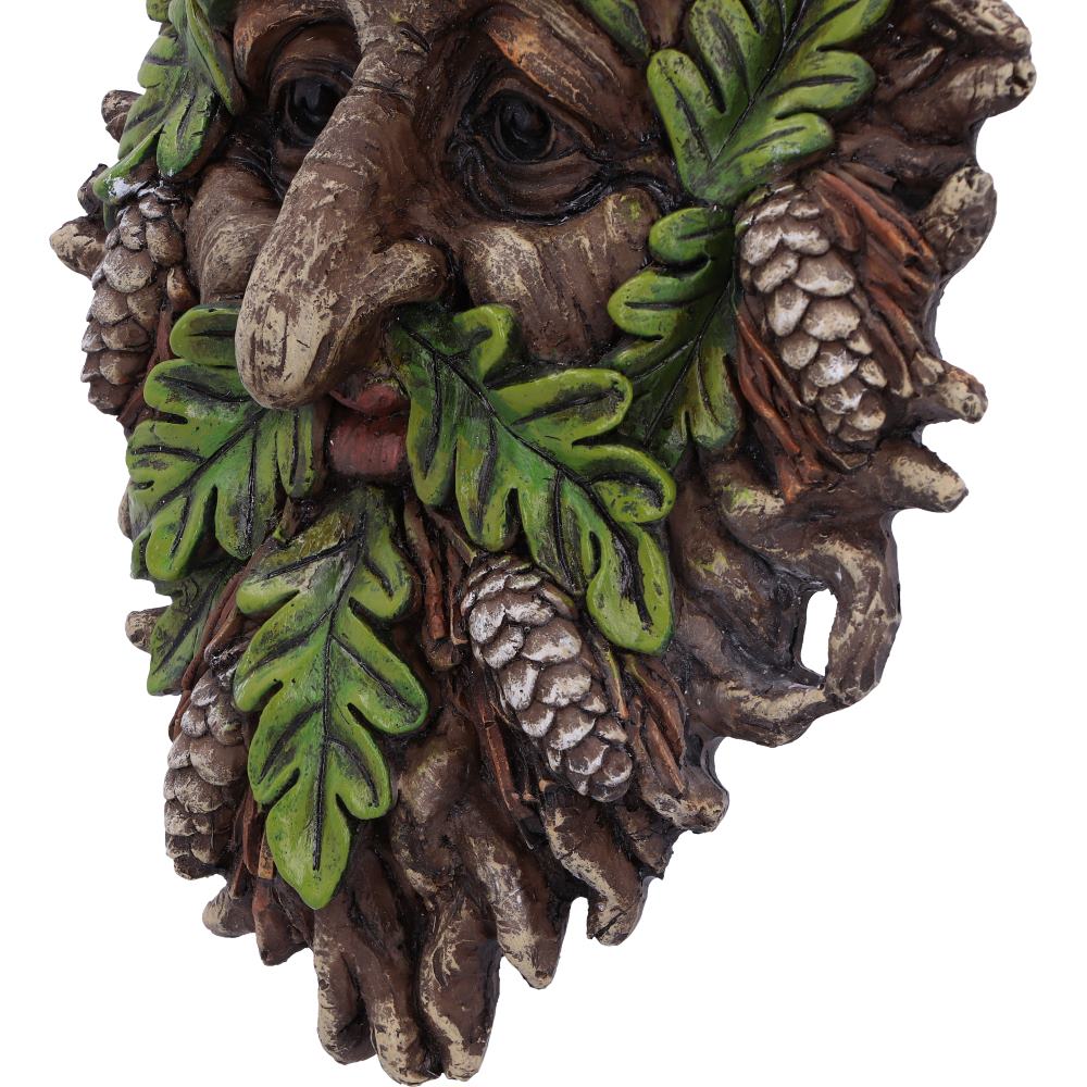 Bryn Wall Mounted Tree Spirit 20.8cm