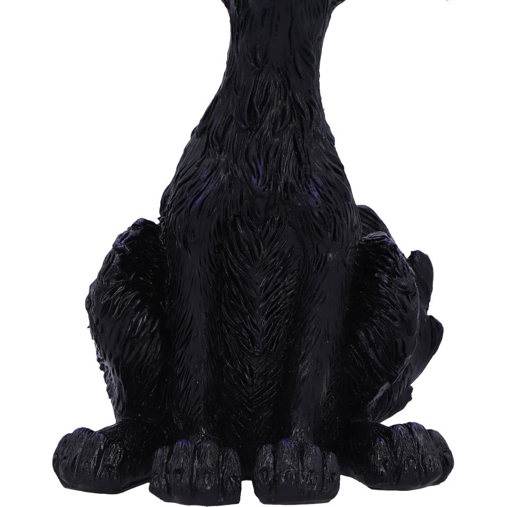 Kat 20cm