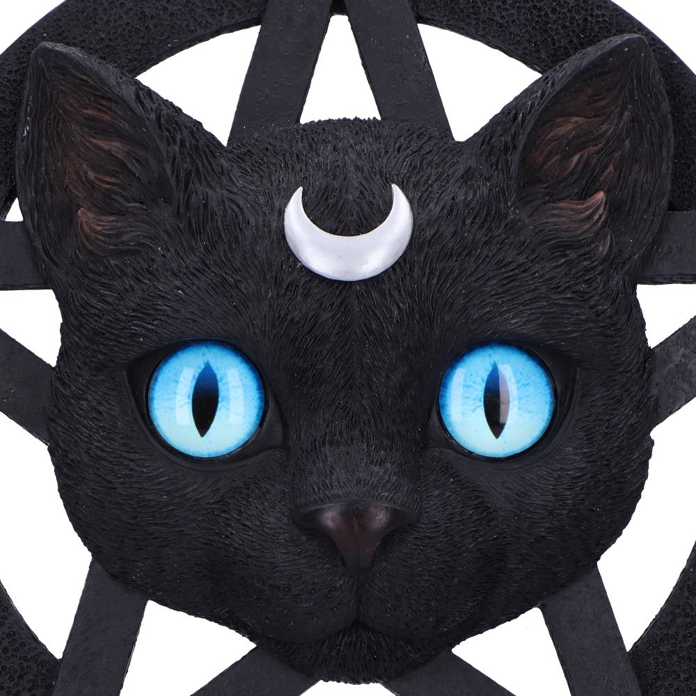 Feline Worship 25.5cm