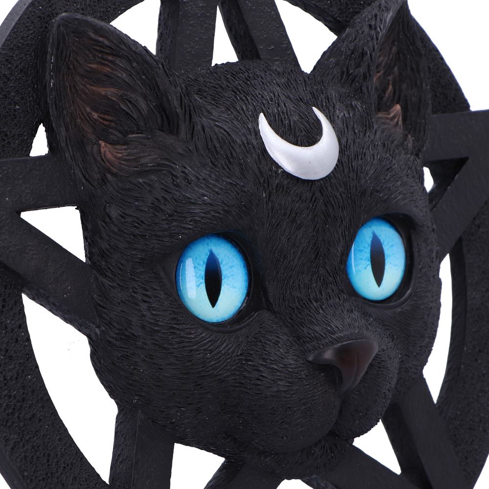 Feline Worship 25.5cm