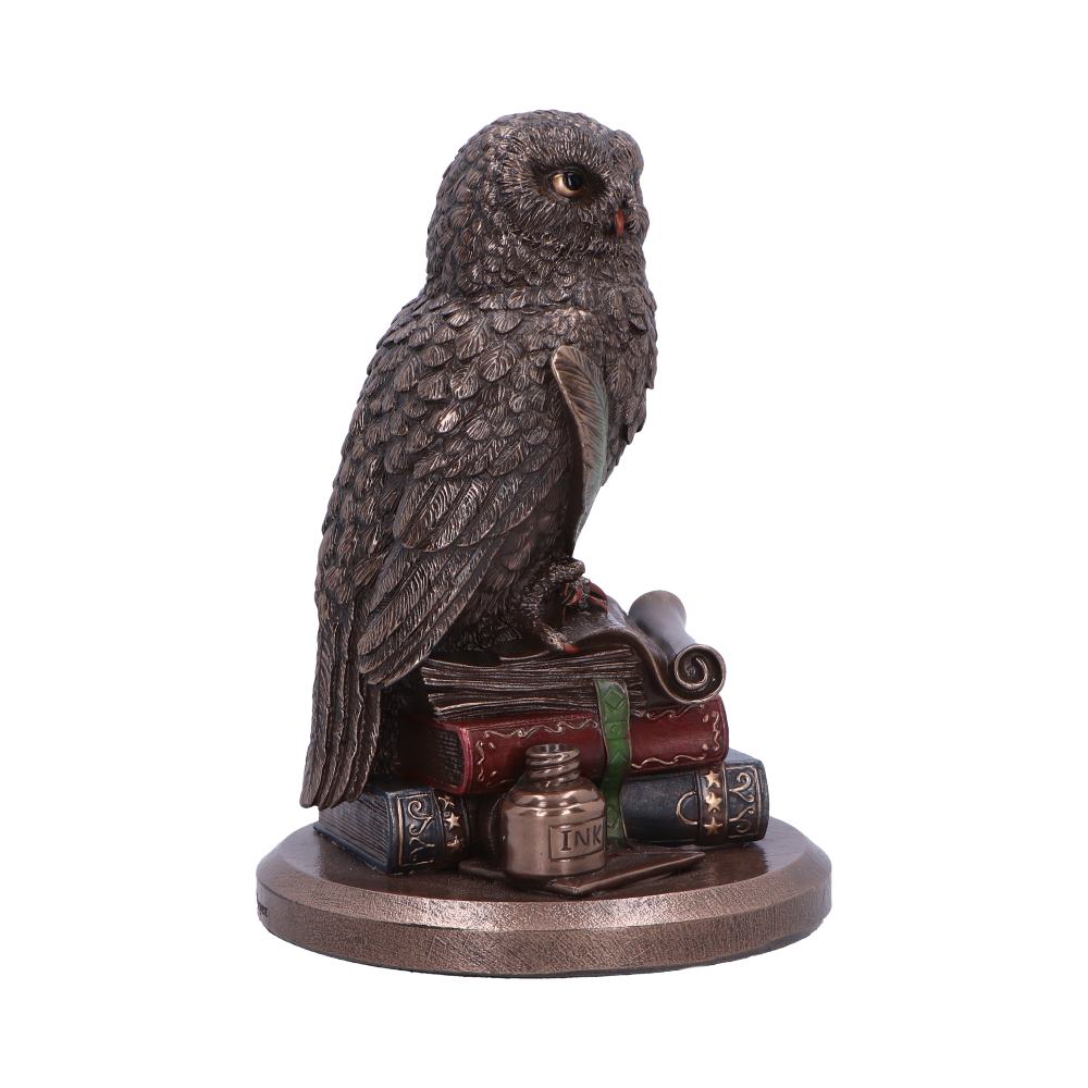 An Owl's Tale 14.5cm
