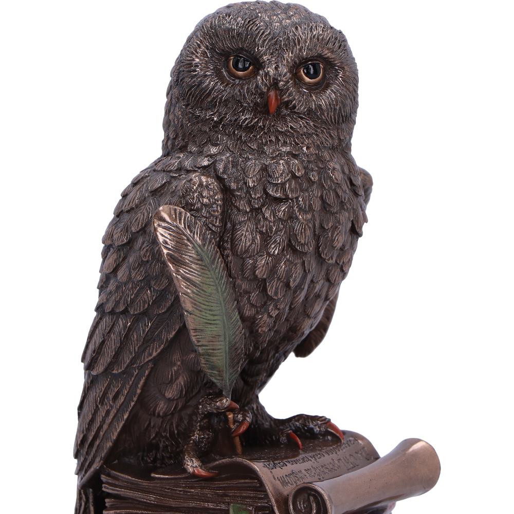 An Owl's Tale 14.5cm