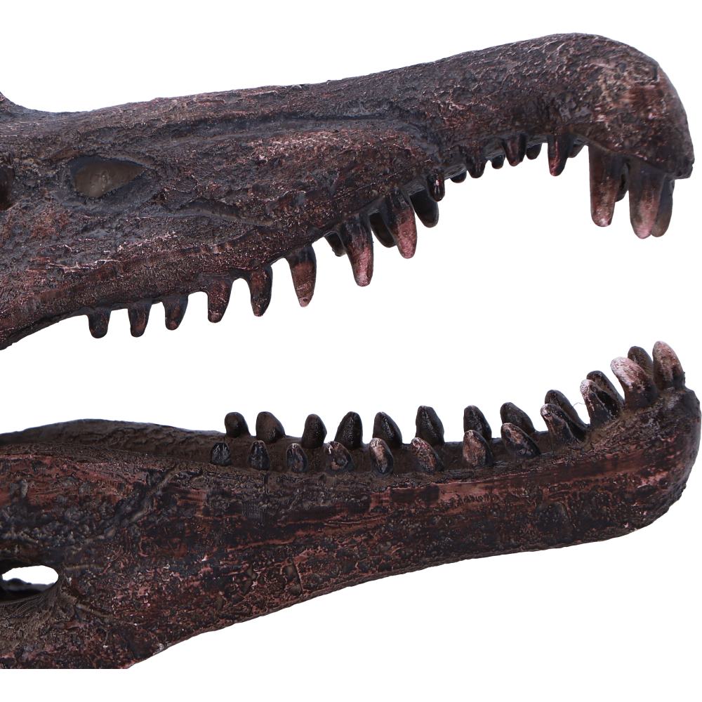 Spinosaurus Skull 16cm