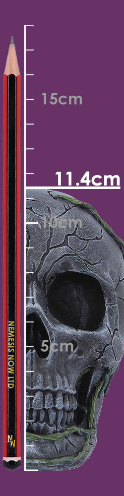 Twilight Bloom 15.6cm