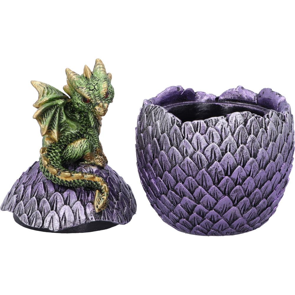 Dragonling Perch Box (Green) 14cm