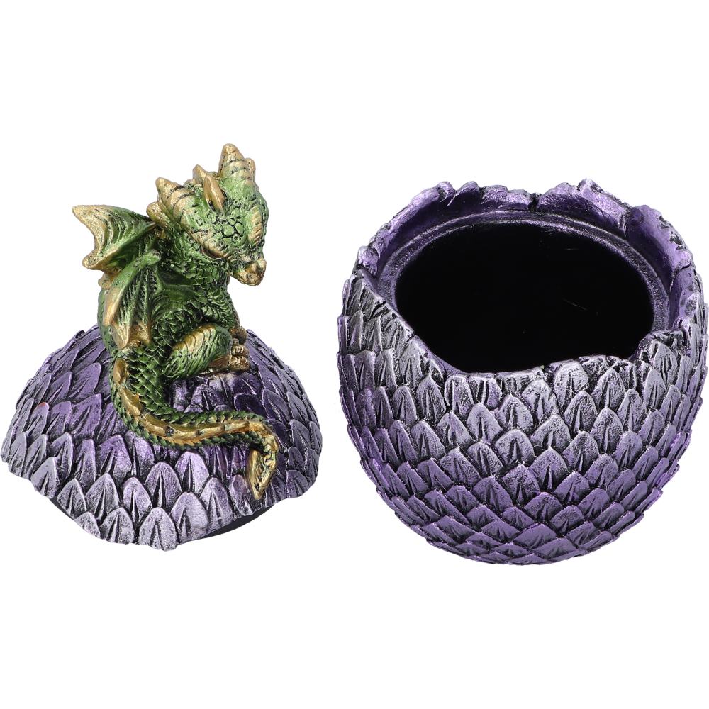 Dragonling Perch Box (Green) 14cm