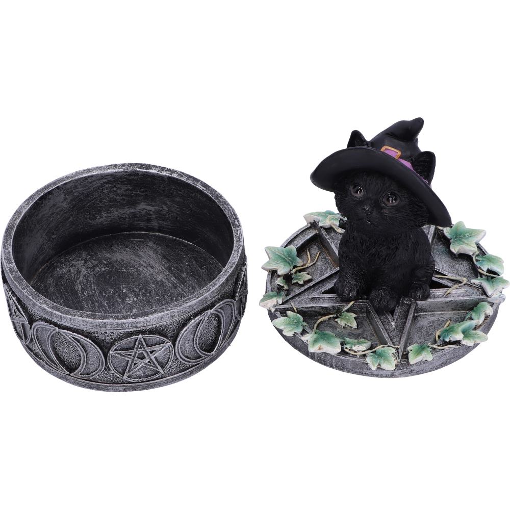 Ivy Familiar Box 15cm