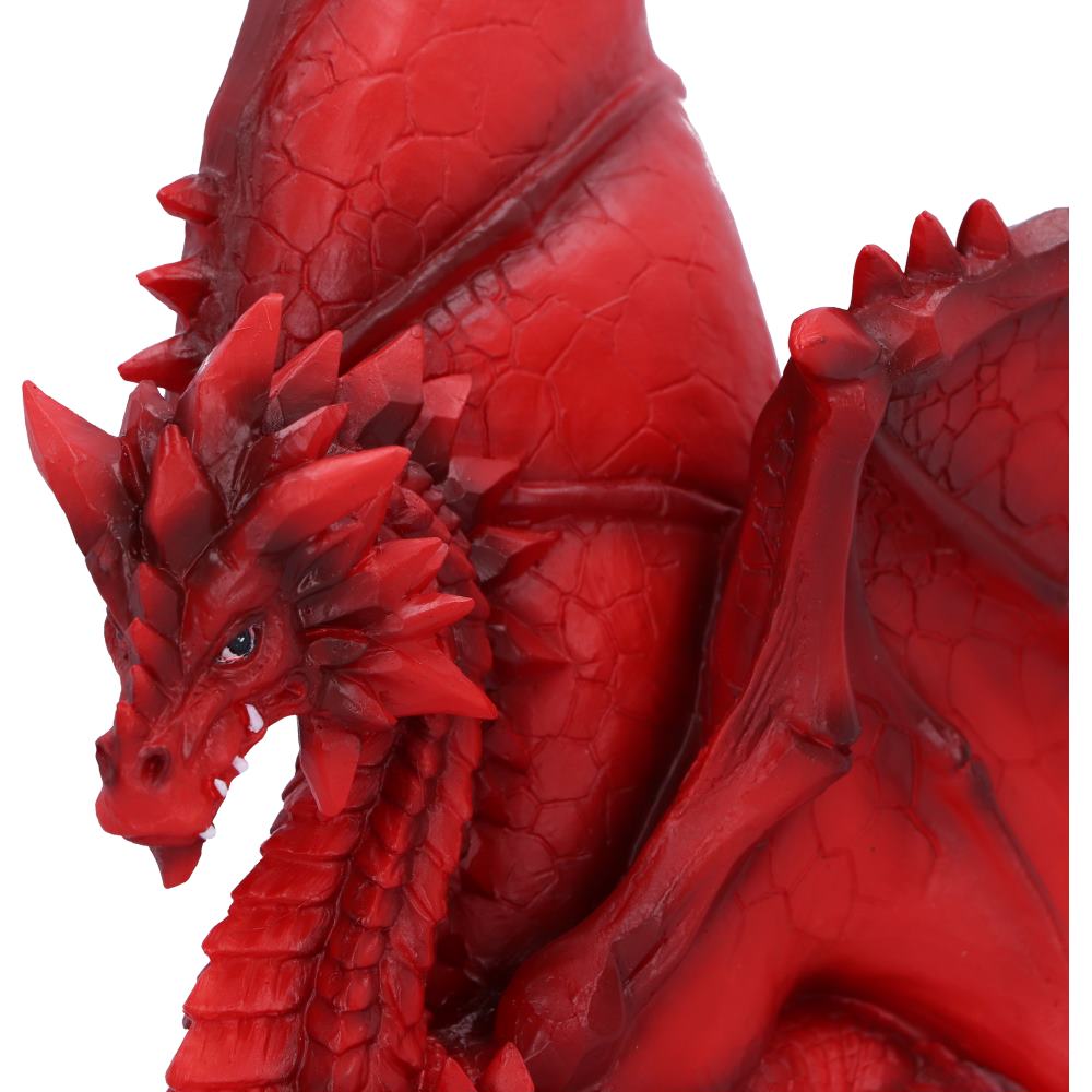 Tailong 21.5cm