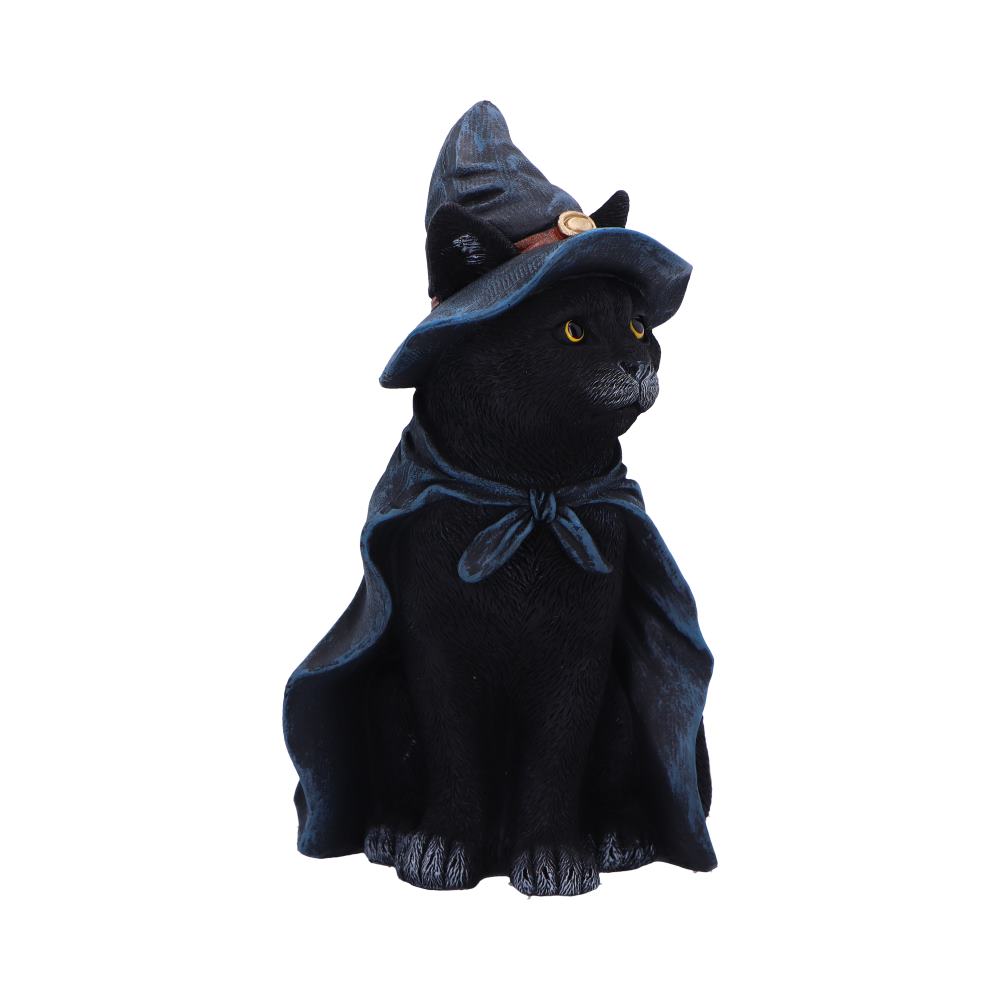 Bewitching 18.5cm