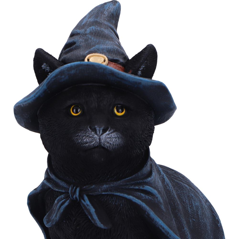 Bewitching 18.5cm