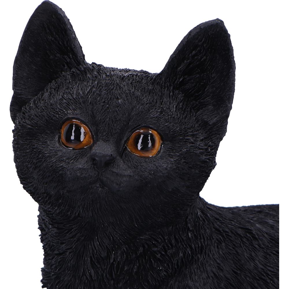 Charmed Companion 20cm