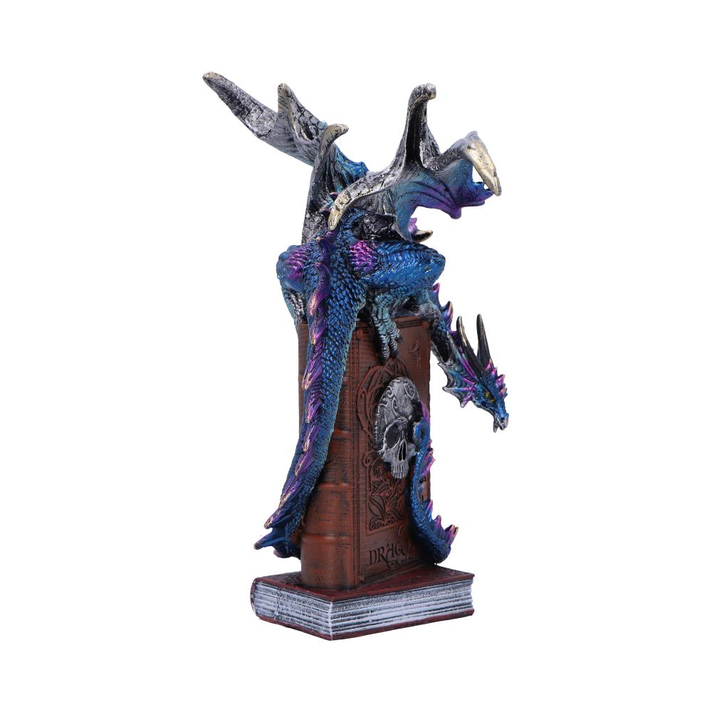 A Tale of Dragons 22cm