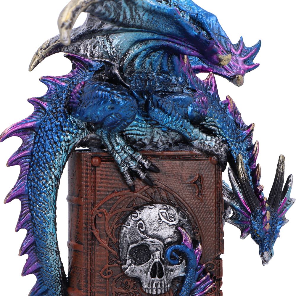 A Tale of Dragons 22cm