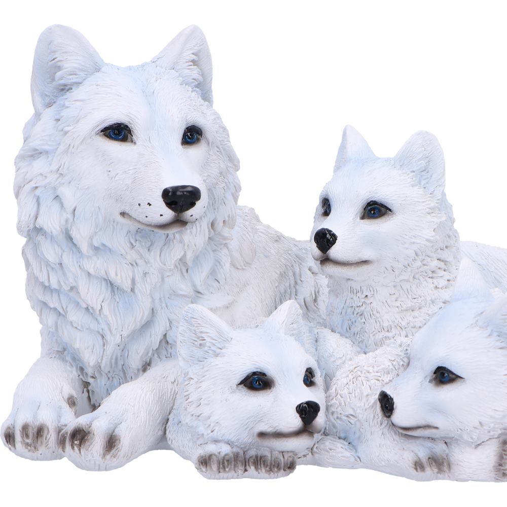 Pups Protection 20.5cm