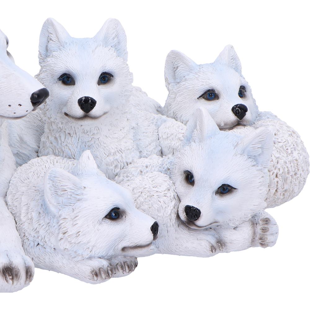 Pups Protection 20.5cm