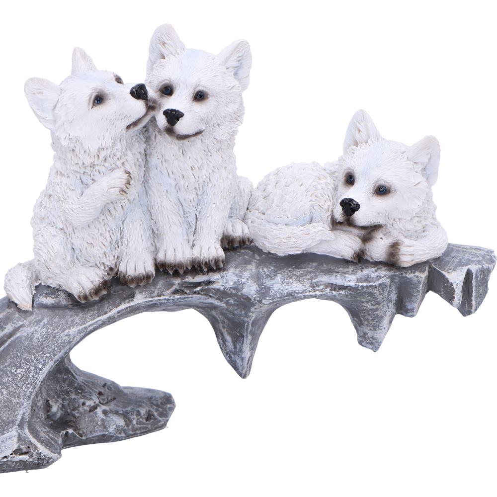 Winter Litter 25cm