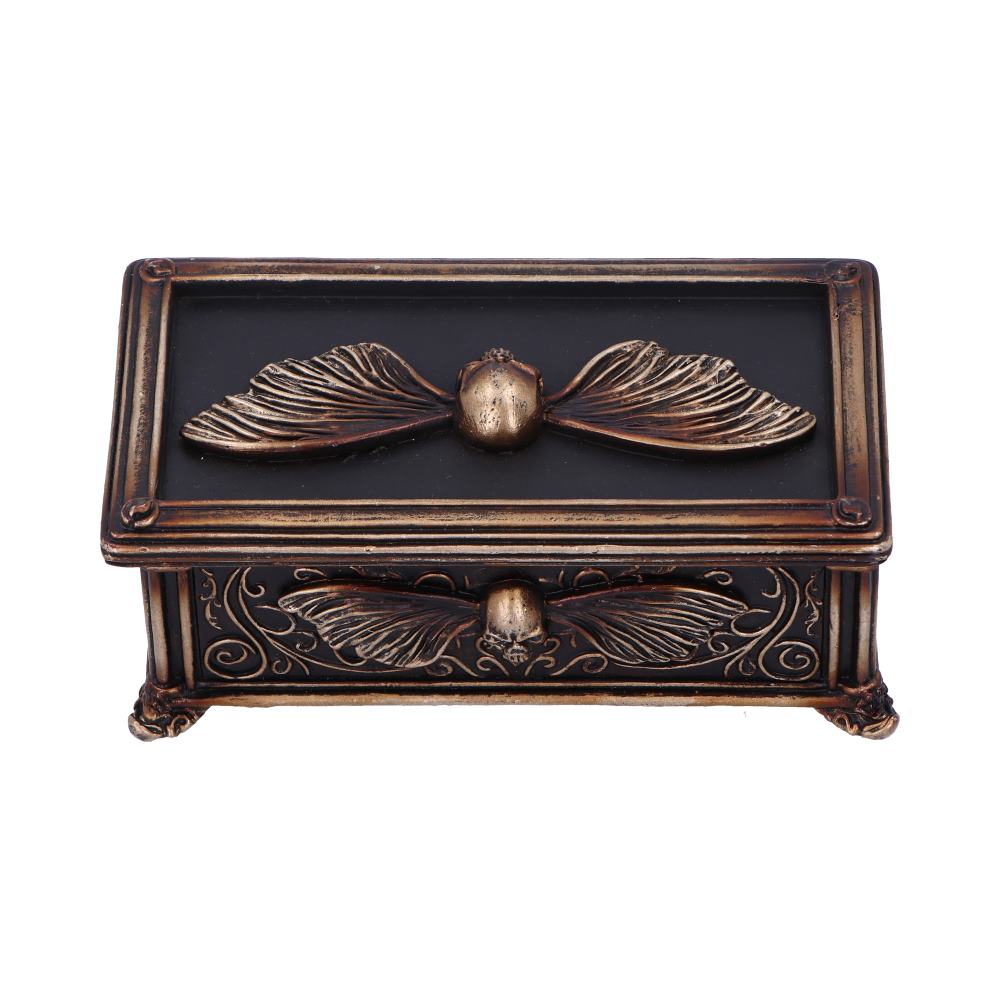 Death's Head Treasure Box