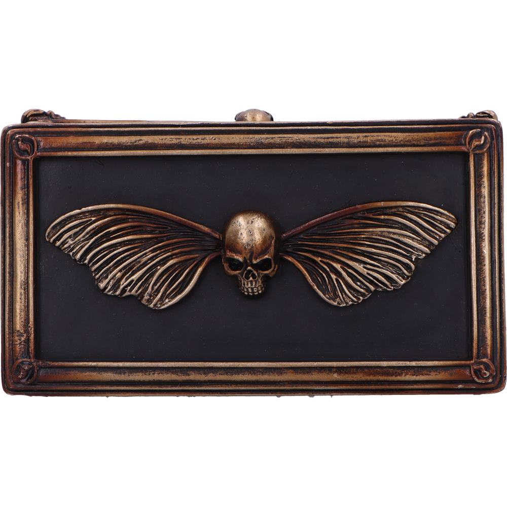 Death's Head Treasure Box