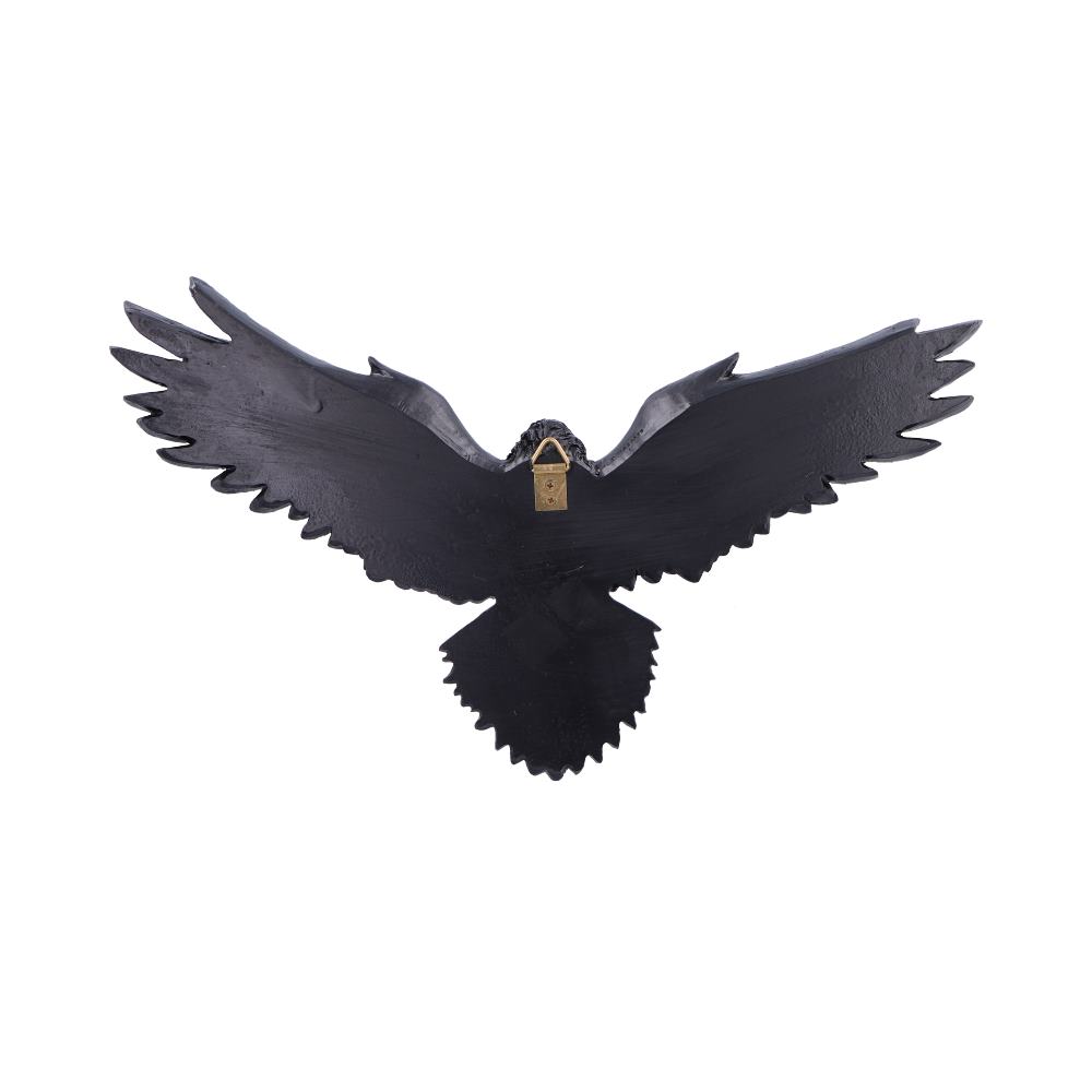 Flight of the Raven 36cm