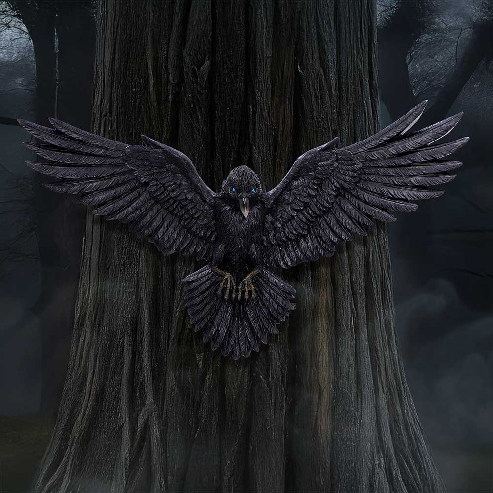 Flight of the Raven 36cm
