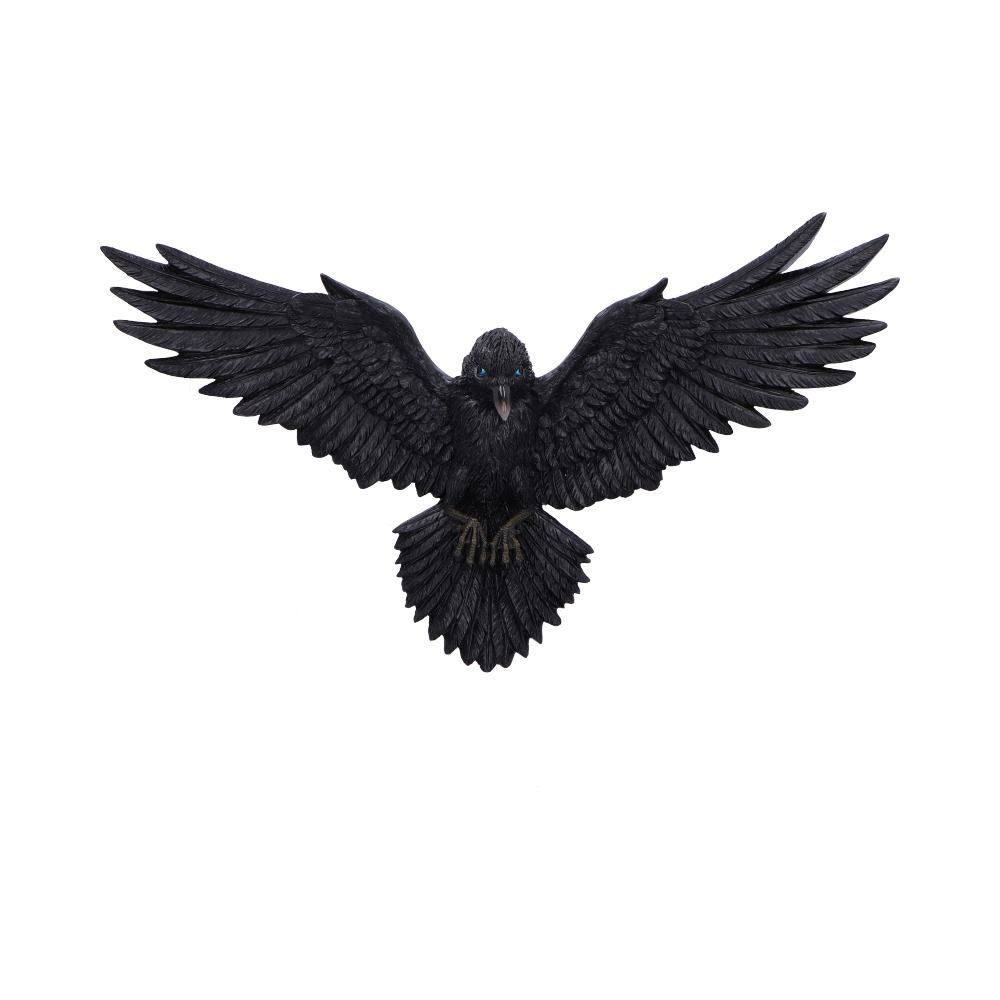 Flight of the Raven 36cm