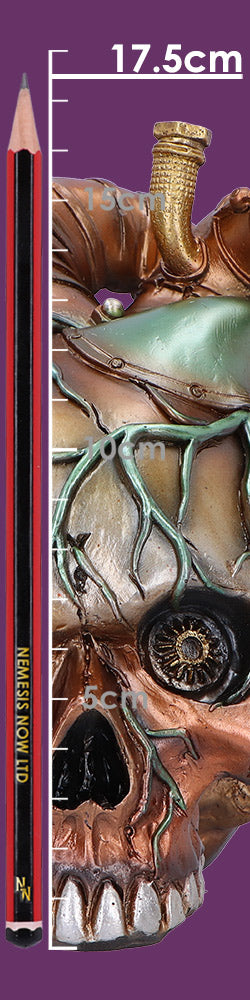 Cardiac Cranium 17.5cm