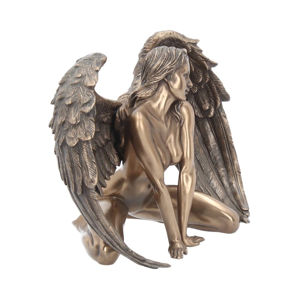 Angels Passion 17.5cm