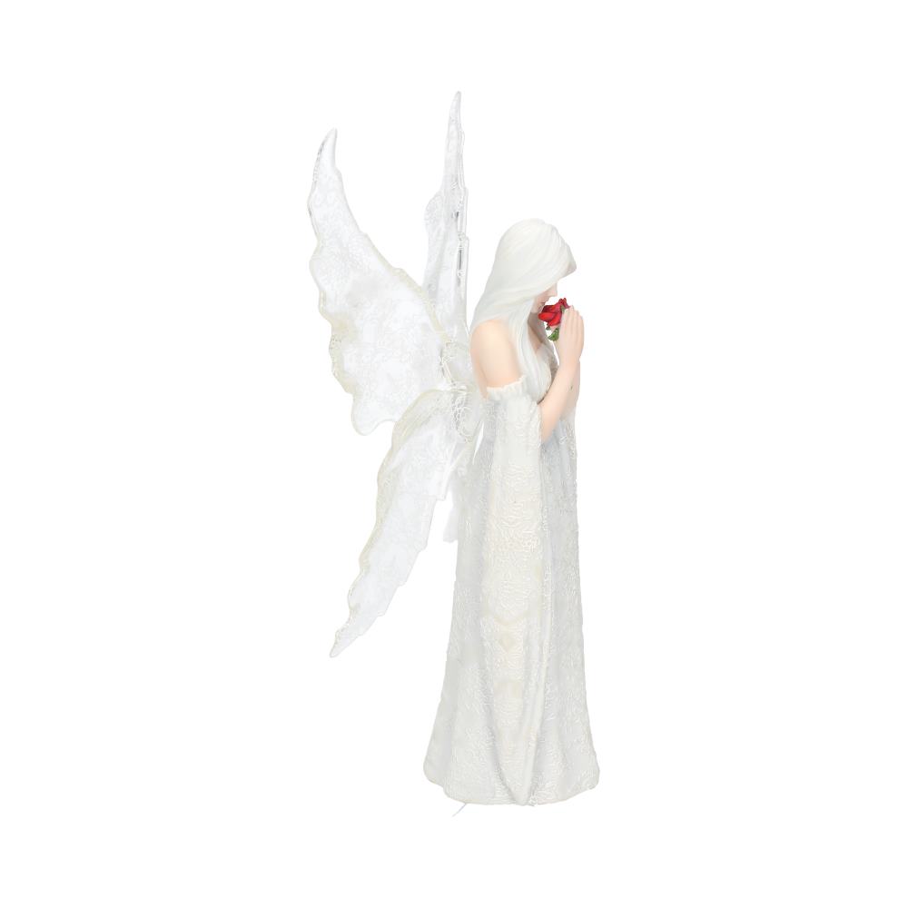 Only Love Remains (AS) 26cm