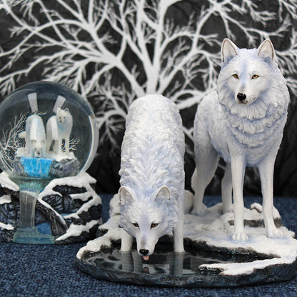 Warriors of Winter (LP) 35cm