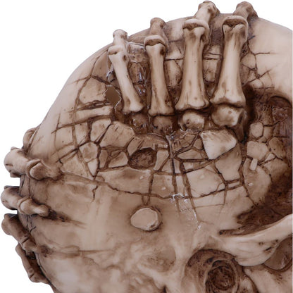 Breaking Out Skull (JR) 20cm
