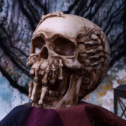 Breaking Out Skull (JR) 20cm