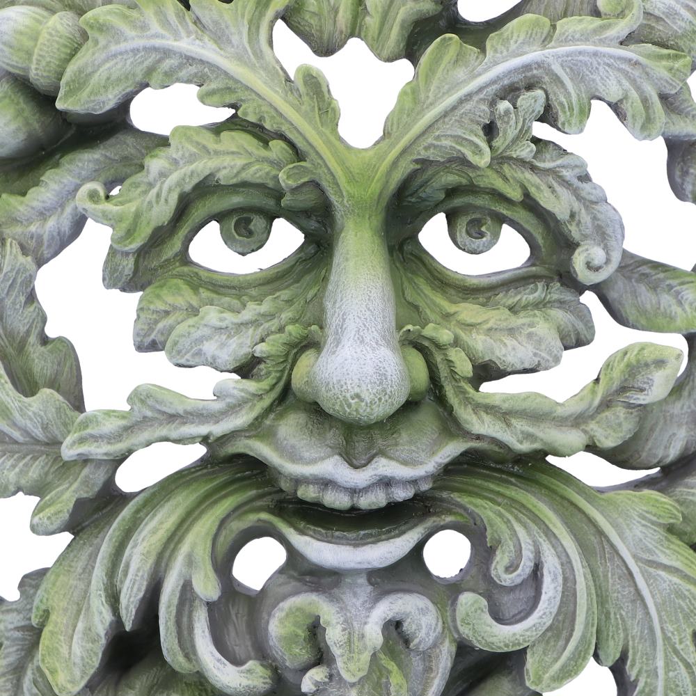 Forest Ancient 30cm