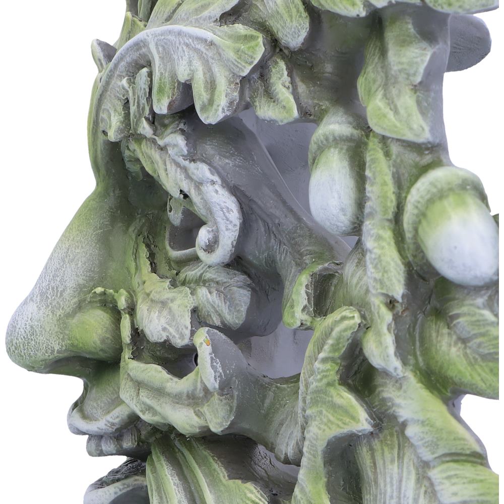 Forest Ancient 30cm